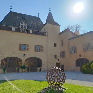 Bed & Breakfast Chateau De La Venerie, Denicé